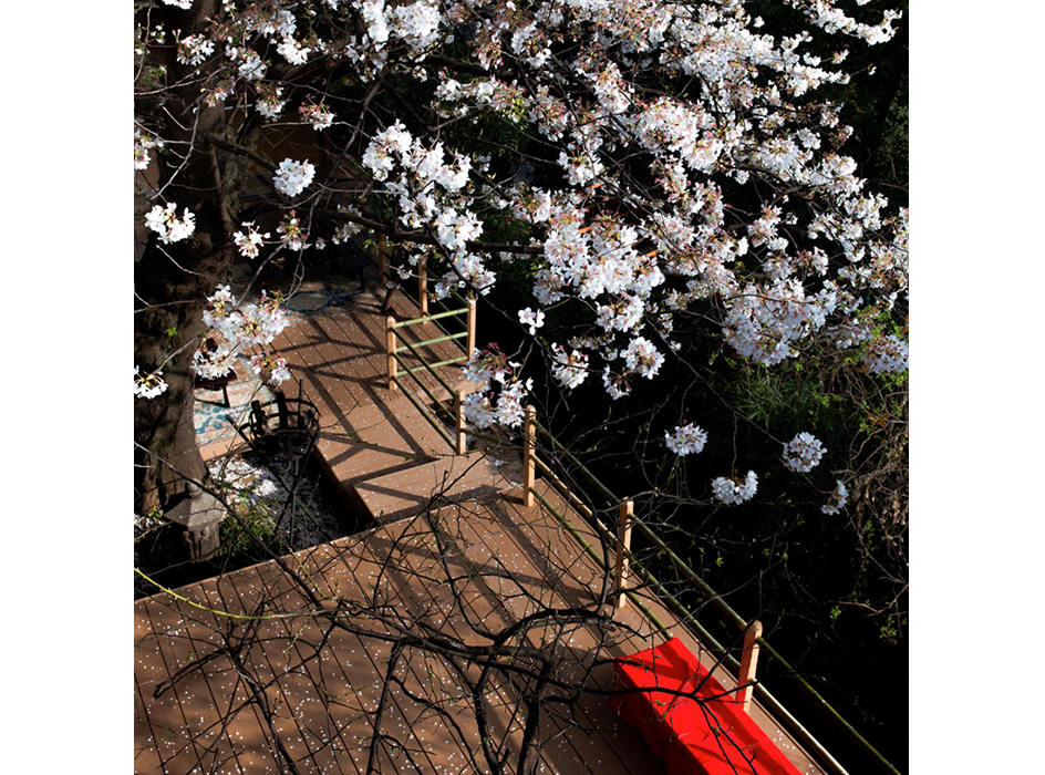 季節で表情を変える、美しい風景